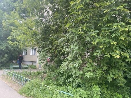 Квартира