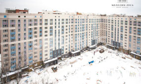 Мелодия леса