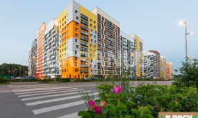 Микрогород в лесу
