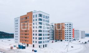 Ильинские луга