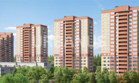 Берёзки