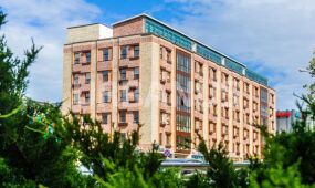Petrovsky Apart House