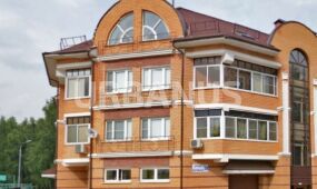 Берёзовая роща