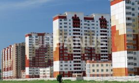 Дубки