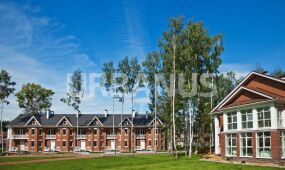 Королевские сосны