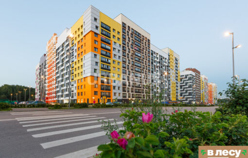 Микрогород в лесу